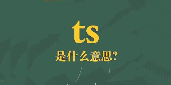 求解ts是什么意思？