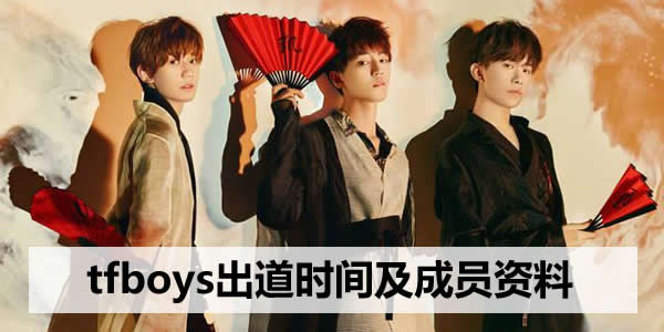 tfboys出道时间及成员资料